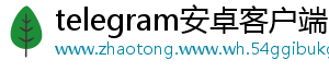 telegram安卓客户端